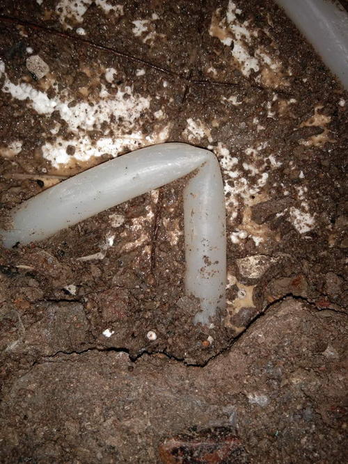 高青堵点精准查找